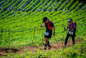 BIB: 9517
                            <button type="button" onclick="openModal(19162841)" class="btn btn-primary btn-sm float-right btn-popup" data-toggle="modal" data-target=".modal-high-quality">
                        <i class="fas fa-shopping-cart"></i> Add to Cart
                    </button>
                                            <button type="button" onclick="isThisMe(19162841, true)" class="btn btn-success btn-sm float-right btn-popup btn-isme hidden" data-toggle="tooltip" data-placement="bottom" title="นี่คือรูปของคุณใช่ไหม คลิกที่นี่เพื่อเอาเข้าอัลบั้ม">
                        <i class="fas fa-plus"></i> Add to album
                    </button>
                    <button type="button" onclick="isThisMe(19162841, false)" class="btn btn-warning btn-sm float-right btn-popup btn-isnotme hidden">
                        <i class="fas fa-ban"></i> Remove from album
                    </button>